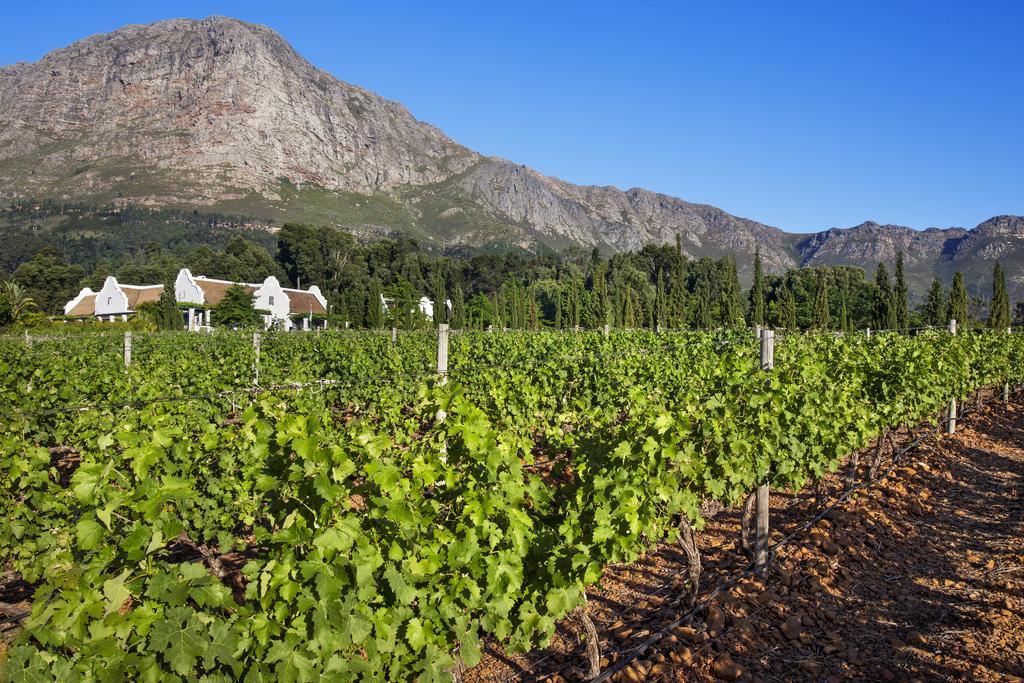 La Providence Hotel Franschhoek Kültér fotó